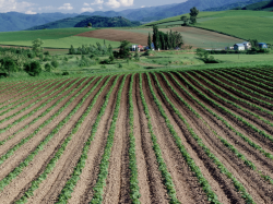 500 millions d'aides européennes pour la ruralité