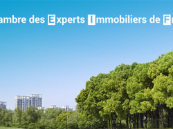 Réunion régionale Chambre des Experts Immobiliers de France