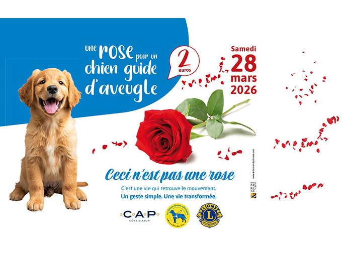 Une rose pour financer un