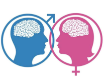 Conférence Femmes 3000 : "Cerveau sexué : mythes et réalités, Comment se construit notre cerveau ?"