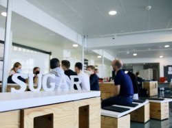 Le réseau international d'innovation SUGAR fait son "kick-off" à Université Côte d'Azur