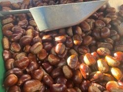 Fête de la Châtaigne : Quand le haut-pays s'invite à Cagnes-sur-Mer