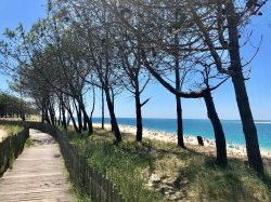 Le Sud, région préférée des Français pour les vacances !