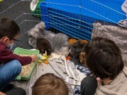 La "médiation par l'animal" au service des enfants de Villeneuve-Loubet