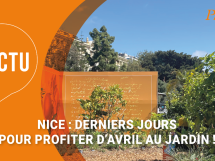 Avril au jardin : derniers jours pour découvrir la rétrospective sur les travaux d'Antoine Risso