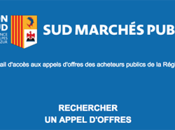 « Sud Marchés Publics », le service qui facilite l'accès des entreprises à la commande publique