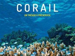Ouvrage de référence : "Corail, un tre ?sor a ? pre ?server"