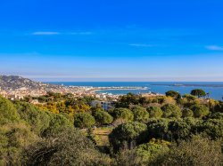 La Mairie de Cannes adhère à l'association des Communes Forestières des Alpes-Maritimes 