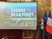 La feuille de route pour la forêt des Alpes-Maritimes présentée ce vendredi