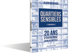 QUARTIERS SENSIBLES 20 ANS D'ENTREPRISE EN MILIEU DIFFICILE Par Alain MEINARDI