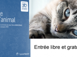Formation au Droit de l'Animal : Jeudi 11 Avril, à 17h, à Nice