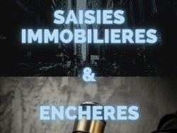 Formation IRFBN/UJA : Saisies immobilières et enchères