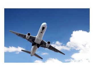 Aéroport NDDL : 2012-2013, la bataille du bocage