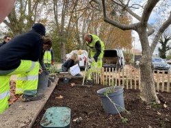 À Brignoles, des plantations économes en eau