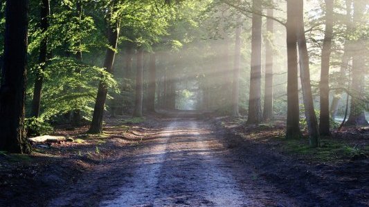Vos infos de ce vendredi 3 décembre