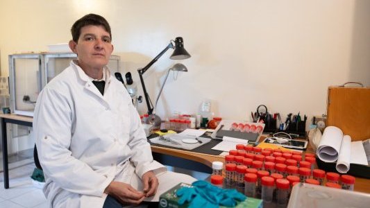 À La Crau, Karine Panchaud décorée du Mérite agricole