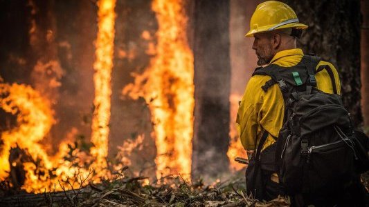 Lancement de SAFERS, nouvelle plateforme de collaboration pour lutter contre les incendies de forêt