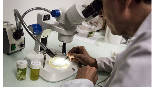 L'Université de Corse, un trait d'union entre laboratoires et entreprises