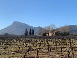 Le Canal de Provence mobilisé pour la profession agricole