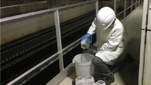 A Toulon face au virus, on anticipe l'apparition de clusters