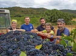 Domaine du Favanquet, un retour à la terre réussi pour 5 amis