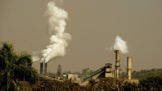 Un « écocide » est désormais un délit