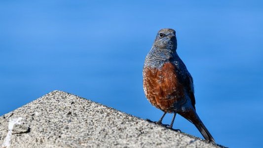 Les infos de ce mardi 26 octobre