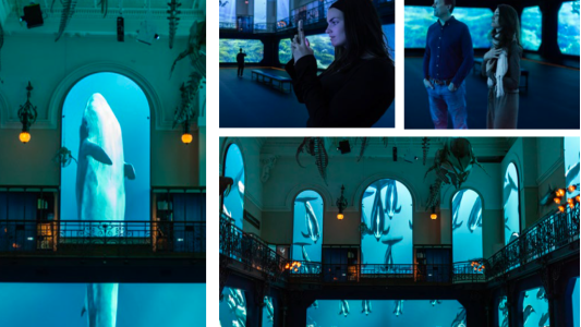Le Musée océanographique de Monaco récompensé pour son expérience immersive « Oceano Odyssey – Mission Pelagos »