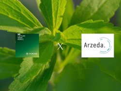 MANE s'allie à Arzeda pour accélérer la mise sur le marché de nouvelles solutions édulcorantes hautement performantes