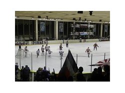 Hockey sur glace : Nice déploie ses ailes