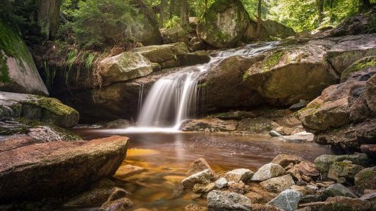L'appel à projets "Eau et biodiversité 2021" de l'agence de l'eau est lancé