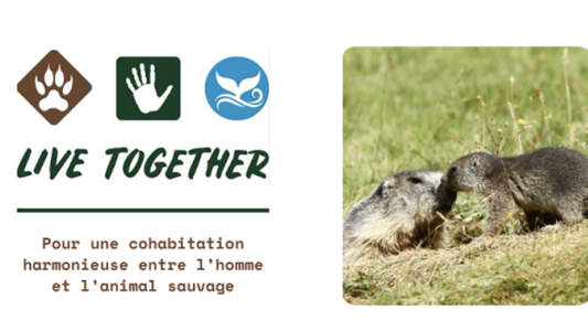 La Caisse d'Épargne Côte d'Azur finance un projet éducatif sur la biodiversité porté par LIVE TOGETHER