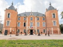 À Solliès-Pont, vif succès pour « Les Arts au Château »