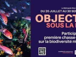 Concours photos : Participez à la première chasse-photo sur la biodiversité marine !