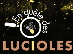 La Réserve Internationale de Ciel Étoilé Alpes Azur Mercantour fête la Nuit des Lucioles 