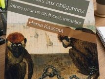 Deux ouvrages à lire pour mieux comprendre l'évolution de la place des animaux dans le droit