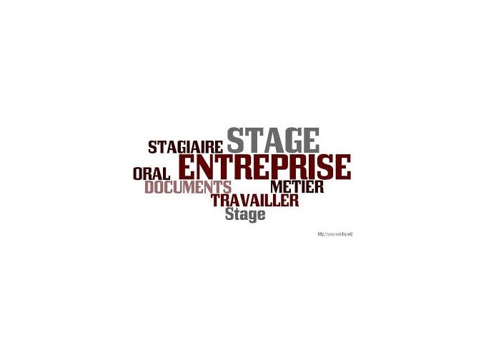 Stages en entreprise (…)