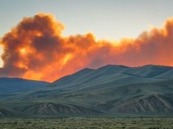 Incendies : les CCI activent leurs dispositifs d'urgence pour soutenir les entreprises sinistrées