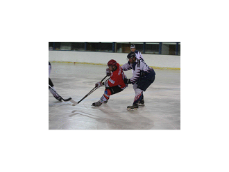Hockey sur glace : Les Aigles remportent la saison régulière