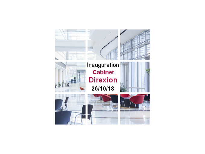 Le Cabinet Direxion (…)