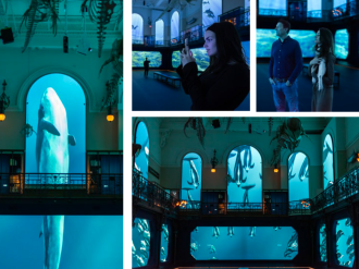 Le Musée océanographique de Monaco récompensé pour son expérience immersive « Oceano Odyssey – Mission Pelagos »