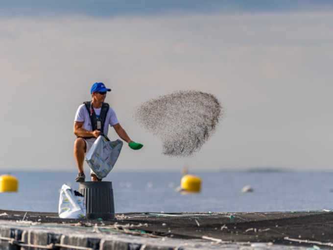 Aquafrais Cannes : Fermie