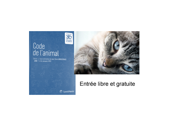 Formation au Droit de (…)