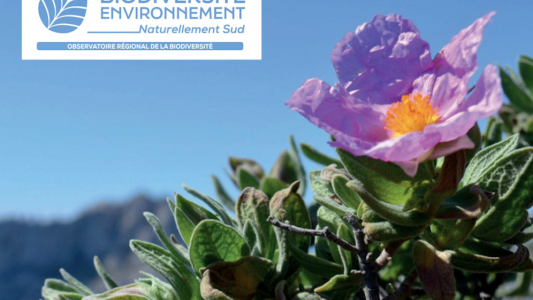 Biodiversité : en Provence-Alpes-Côte d'Azur, un patrimoine naturel riche mais sous pression
