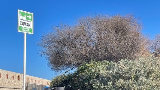 7e Journée départementale des risques majeurs : sensibilisation des écoliers aux défis climatiques à Antibes