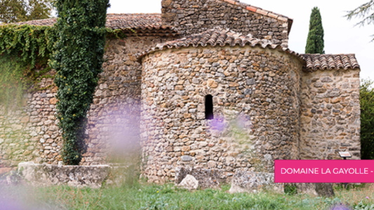 Art & Vin invite à une métamorphose des sens au cœur des vignobles