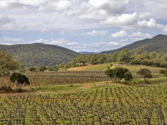 Vins de Provence rosés, un millésime 2022 prometteur