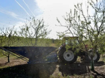  Le Roy René concrétise son pari de l'amande 100 % provençale