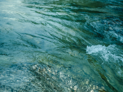 Avis de consultation : création d'un ouvrage de ralentissement dynamique des crues sur le cours d'eau de la Grande Frayère