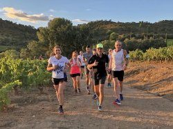 Les Dix vins sur les terres du Domaine de Favanquet